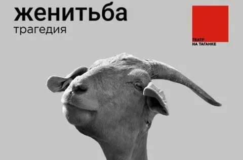 Ну зачем люди женятся