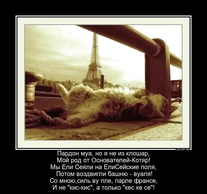 Пардон муа перевод с французского. Пардон муа перевод с французского. Переводы французских песен. Пардон муа перевод с французского на русский. Pardonne moi ноты.