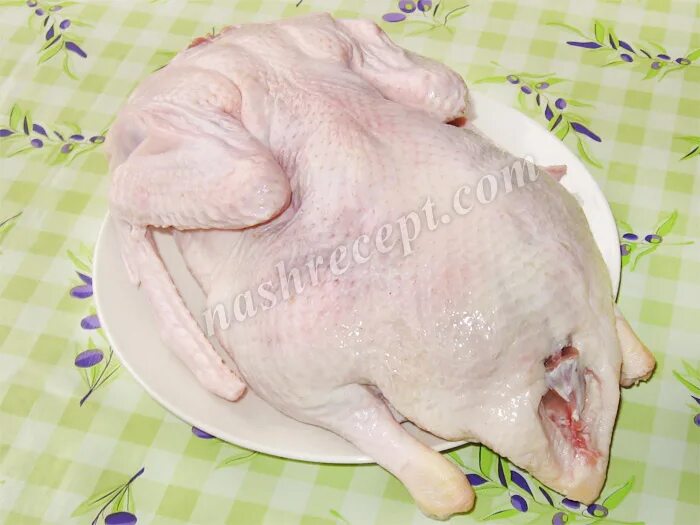 Гузка индейки анатомия. Железы у утки перед запеканием. Как удалить железу у утки. Как удалить железу у утки. Копчиковая железа у утки.