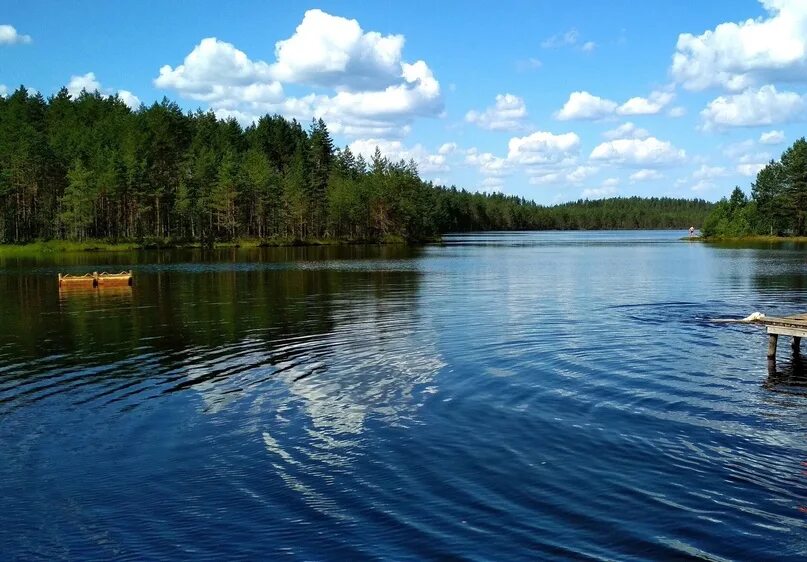 Белое озеро ленинградская область. Озера ленобласти для купания. Озеро семиозерье карелия. Чистое озеро в ленинградской. Золотой пляж шудибиль вырица.
