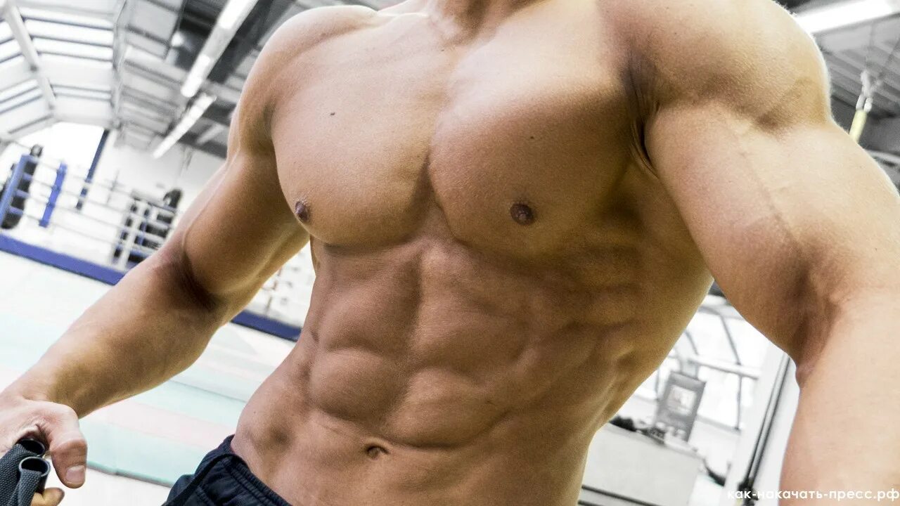 Кубики у качка. Накаченный пресс. Накачать косые мышцы. Мощные кубики пресса. Накаченные косые мышцы пресса