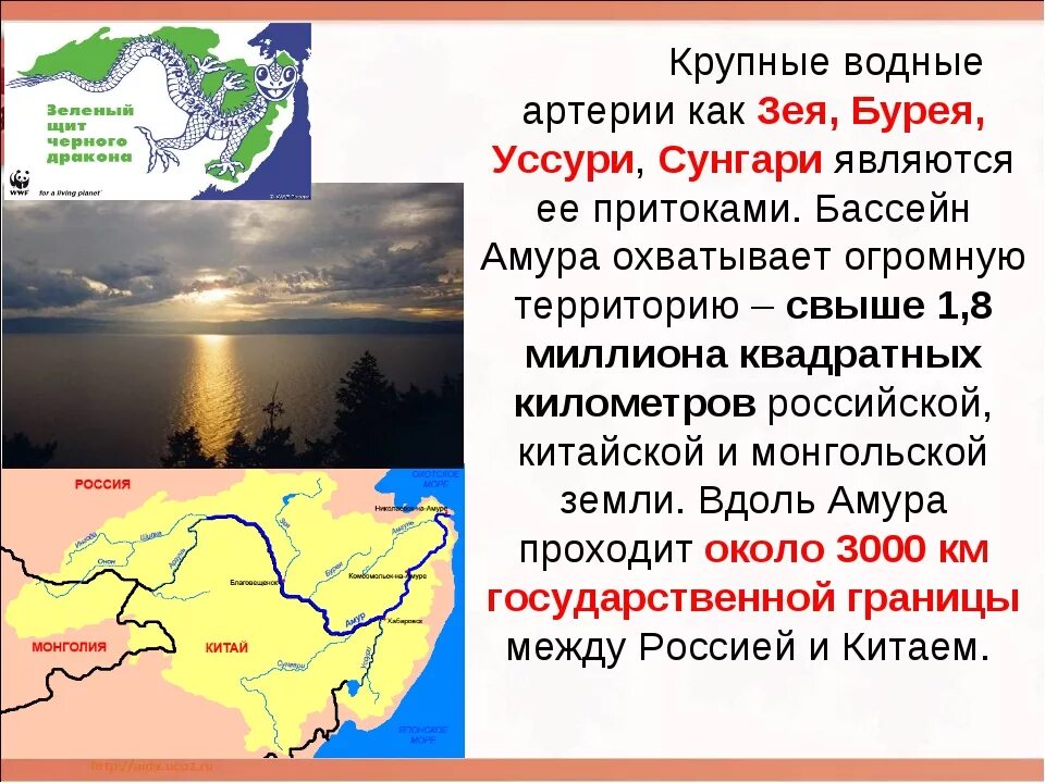 Река протекающая в россии и монголии. Бассейн реки Сунгари. Притоки реки Амур. Крупнейшие притоки реки Амур. Описание бассейна реки Амур.