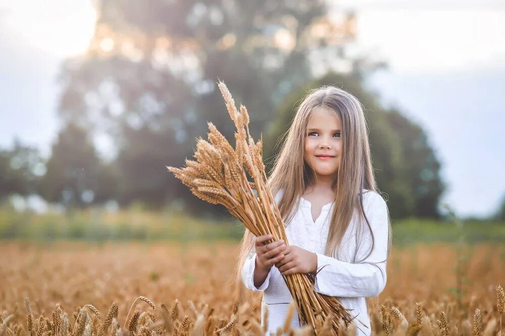Девушка в поле с васильками. Девочка в поле с ромашками. Солнечная девочка. Фотосессия в поле с колосками. Счастливый ребенок.