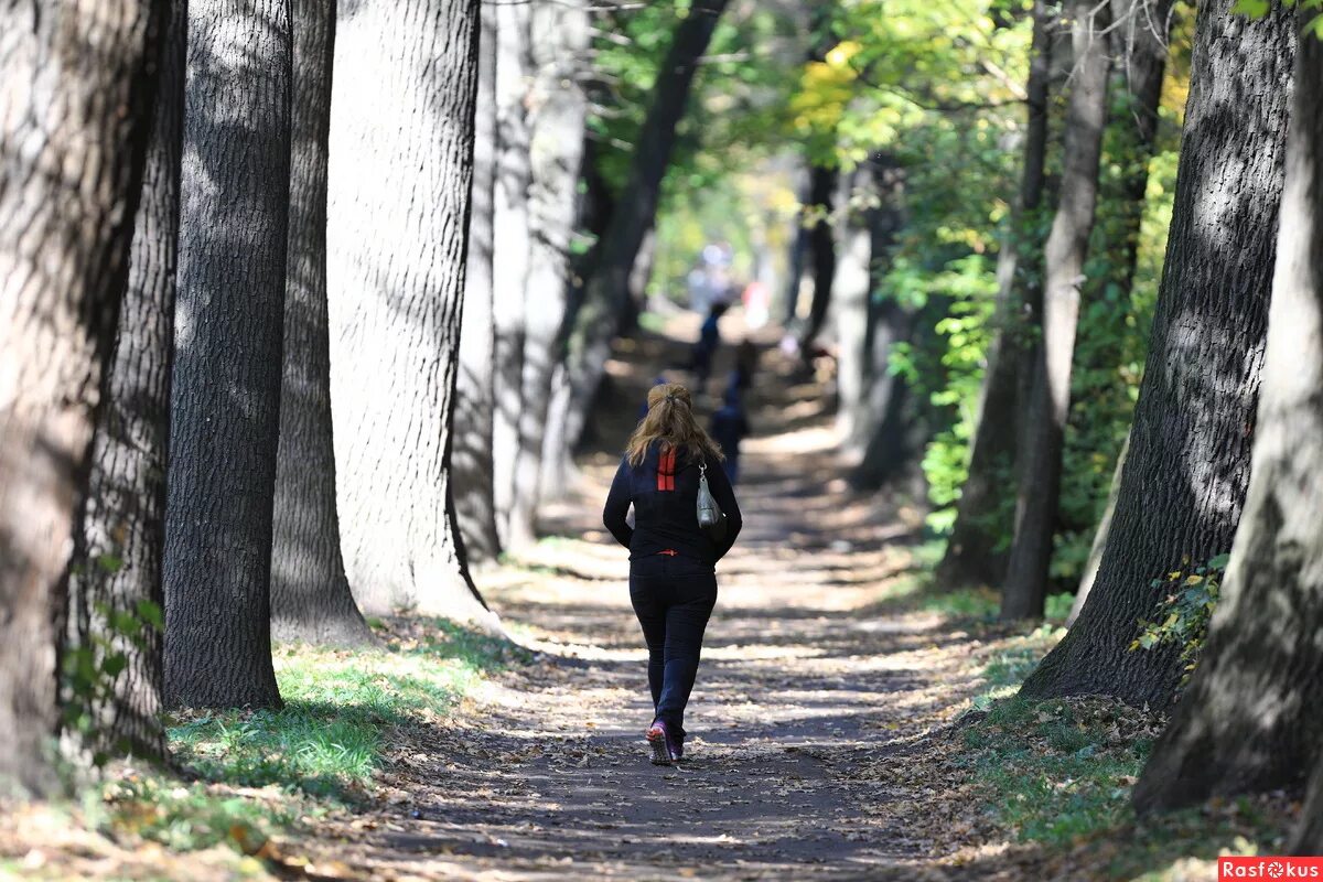 Прогулка на природе. Девушка в осеннем лесу. Хожу по аллее. Хожу по аллее. Прогулки на свежем воздкх.