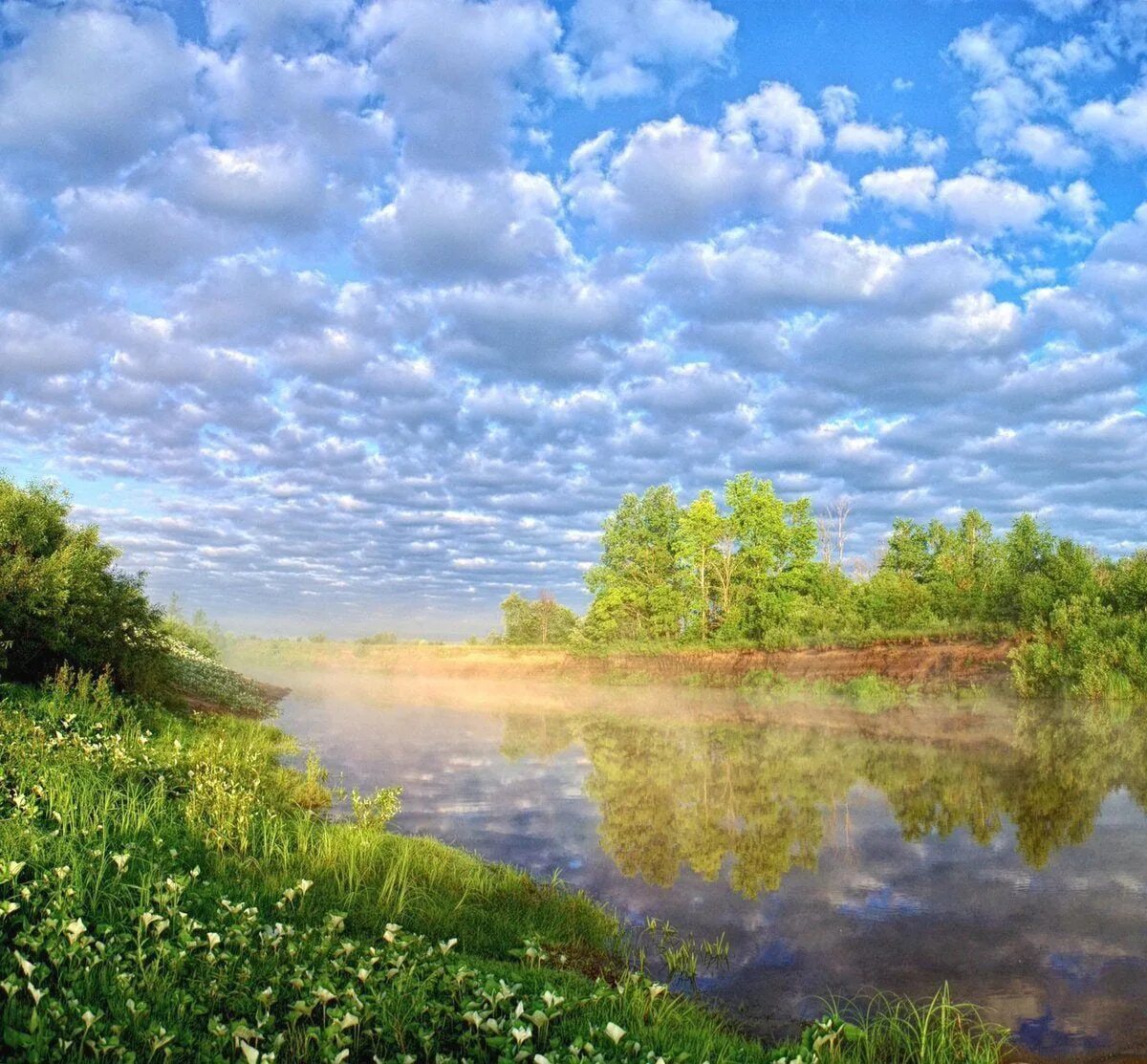 11 прекрасных
