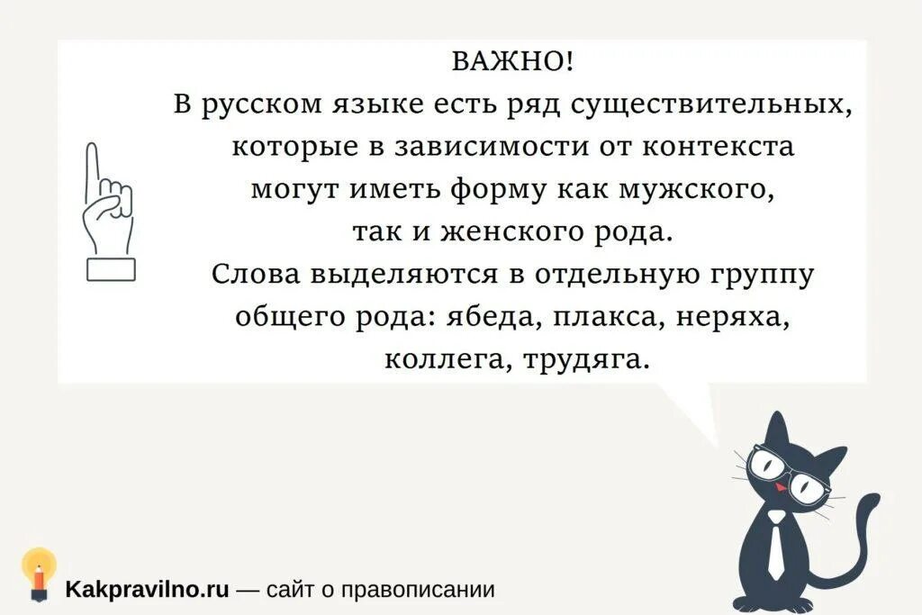 Коллеги как правильно