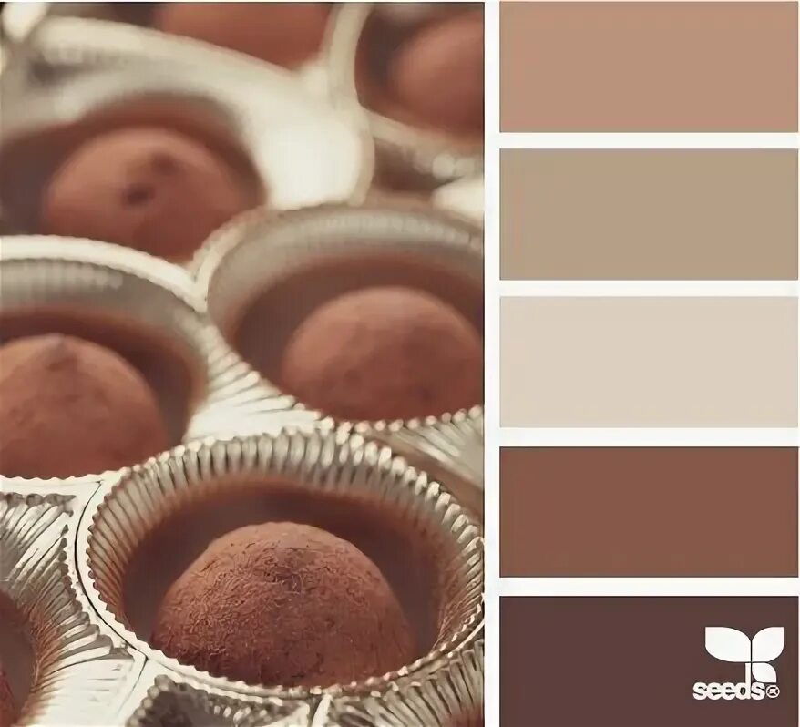 палитра цветов коричневый бежевый. палитры цветов коричневый. Muffin cake шоколадные. шоколадный цвет палитра. коричневая палитра.