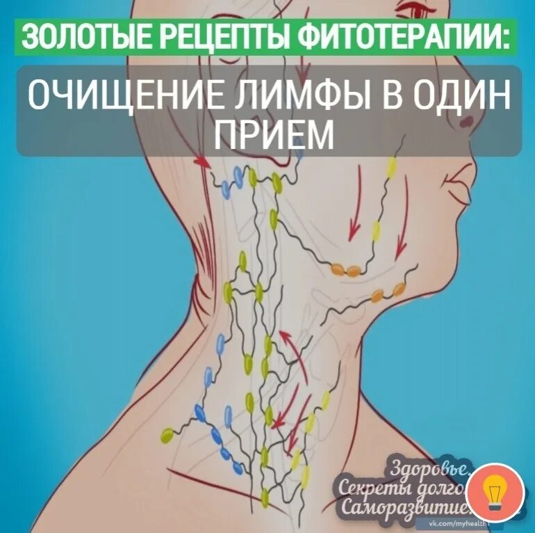 Упражнения для очищения лимфы. Упражнения для очищения лимфатической системы. Тренировка для лимфатической системы. Упражнения для прокачки лимфатической системы. Насморк и лимфоузлы