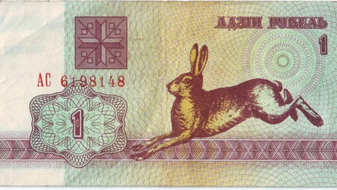 Деньги белоруссии зайчики. Зайчики купюра белорусская. Белорусские деньги зайчики и белочки. Белорусские зайчики к рублю. Зайчики валюта в белоруссии.