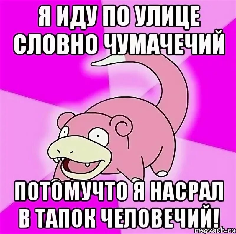 филосораптор мем. иду по улице словно. иду по улице словно. нагадил в тапок человечий. раз два три по почкам раз два три по печени.