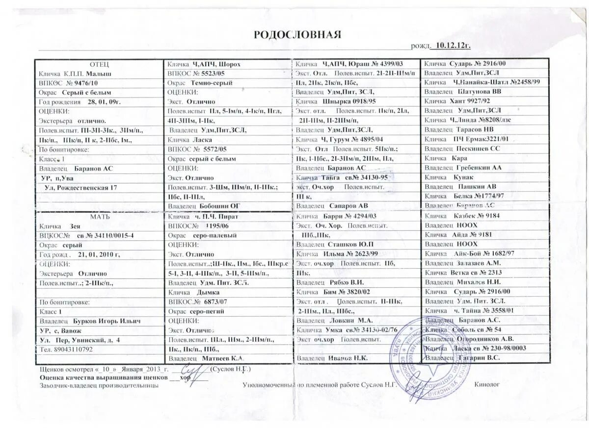 Найти родословную собаки. Найти родословную собаки