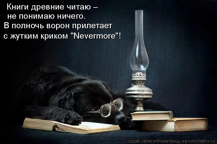 чтение понимание прочитанного. когда читал книгу и ничего не понял. ушинский про чтение. читать это еще ничего не значит. я ничего не понимаю.