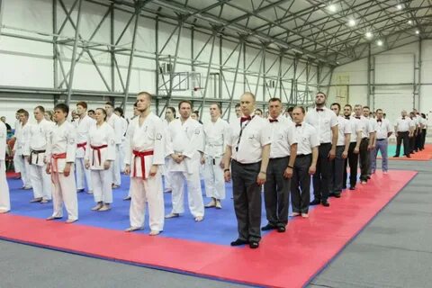 Орел всестилевое каратэ 2024