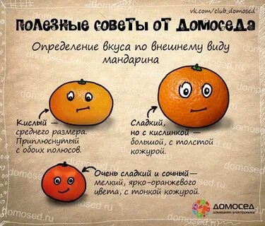Проект хорошие советы