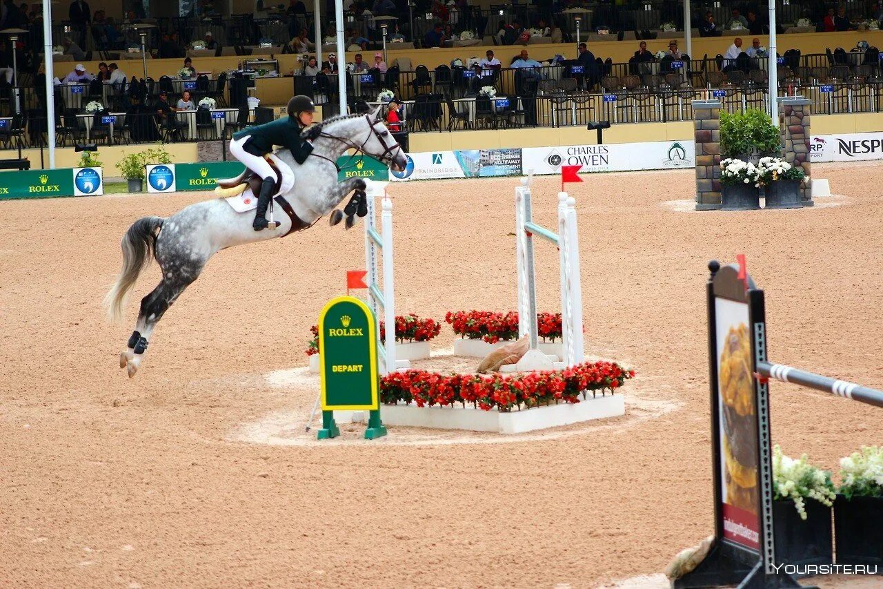 Конный спорт на олимпийских играх. Конный спорт соревнования конкур. Самодуровский Игорь конкур. Конный спорт конкур 2 метра. Конкур конный спорт мировой рекорд.