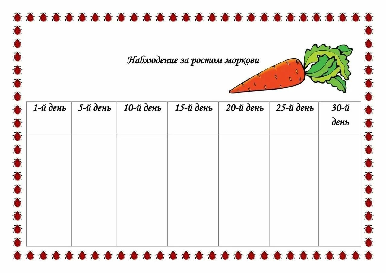 Эксперимент с морковкой 2 класс