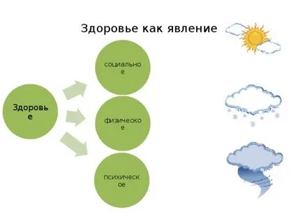 Явления культуры в жизни человека