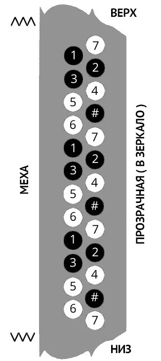 Раскладка клавиатуры гармони хромка. Расположение нот на двухрядной гармони. Схема аккордов на гармони 25х25. Раскладка нот на гармони 25 на 25 черные белые кнопки на гармони. Научиться играть на гармошке по цифрам