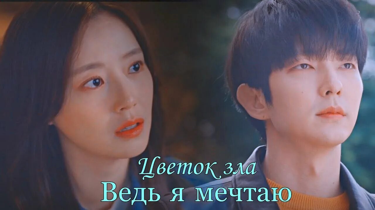 Цветок зла сюжет. Цветок зла дорама. Фото пэкхисон цветок зла. Том 6". Цветы зла.
