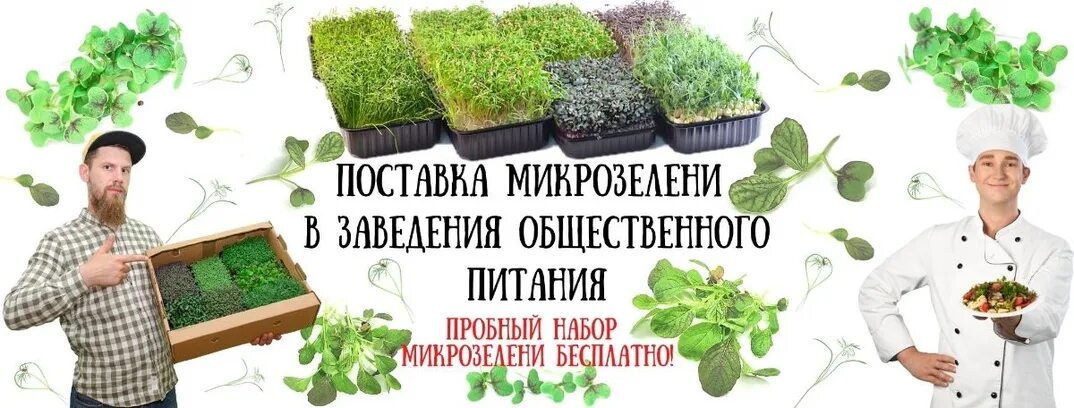 Таблица микрозелени. Листовка микрозелень рекламная. микрозелень листовка. рекламный буклет микрозелени. буклет микрозелень.