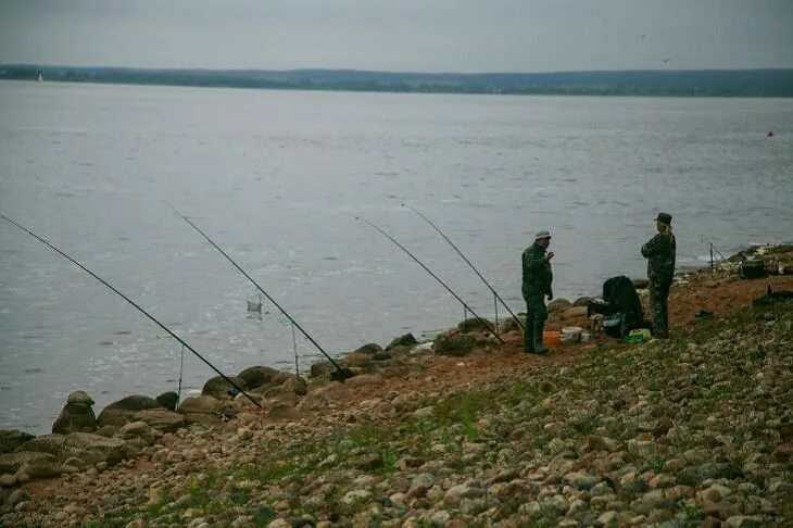 Рыбалка в Белоруссии. Спортивная рыбалка. Дикая рыбалка в Белоруссии. Рыбачат на Чекериле. Клев в беларуси