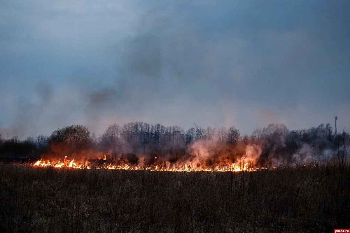 Сжигание полей. Пожар в поле. Горящие поля. Горящее поле ночью. Пожар в поле ночью.