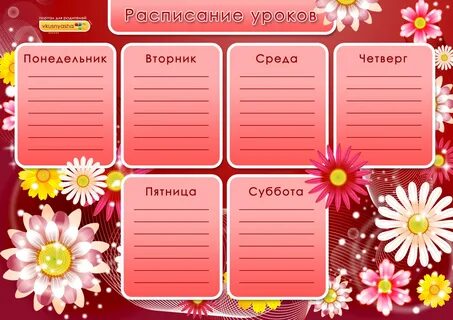 Расписание школы жизни