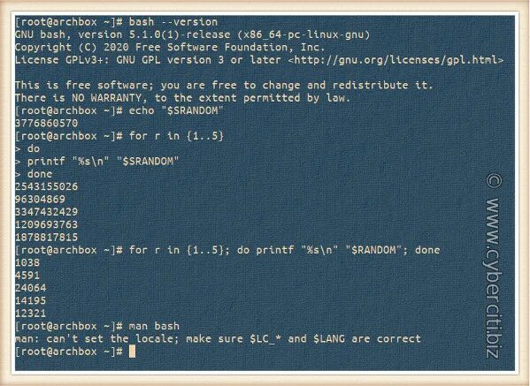Main bash. Bash линукс. Bash язык программирования. Оболочка Bash в Linux. Язык Bash