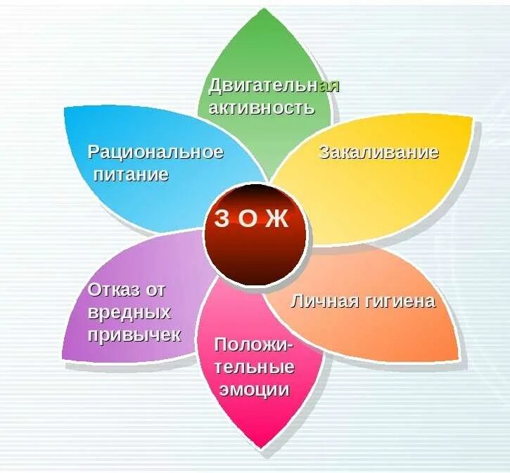 Общая информация о ребенке основы здорового. Здоровый образ жизни. Концепция здорового образа жизни. Модель здорового образа жизни. Моднть здорового образа жизни.