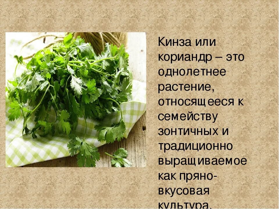 Кинза, 70г купить с доставкой на дом, цены в интернет-магазине