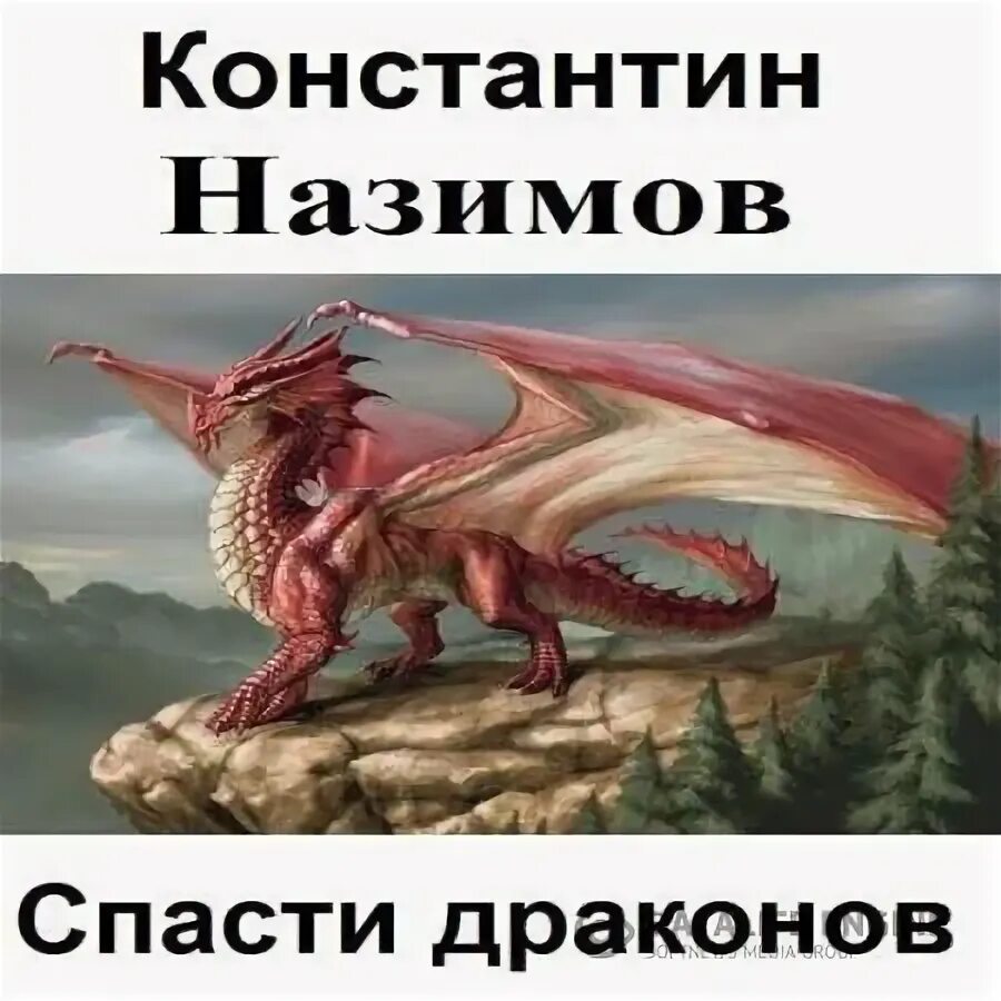 Секретарь алых драконов аудиокнига. Земля драконов книга. Спас драконов. Повседневная жизнь драконов книга. Город драконов аудиокнига.