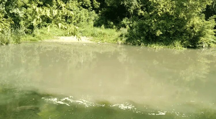 Река Оскол. Белгородская вода. Река Оскол Сорокино. Речка в Сорокино старый Оскол. Вода в белгородской области