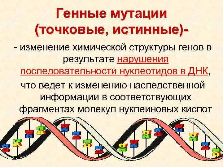 Изменение строения генов