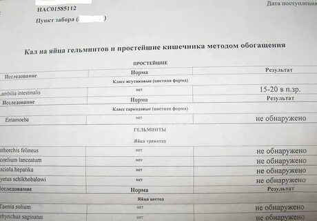 Анализ кала на лямблии игх
