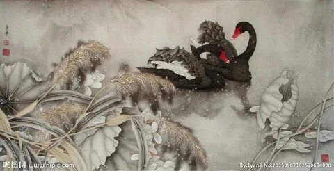 Лебедь китай отзывы