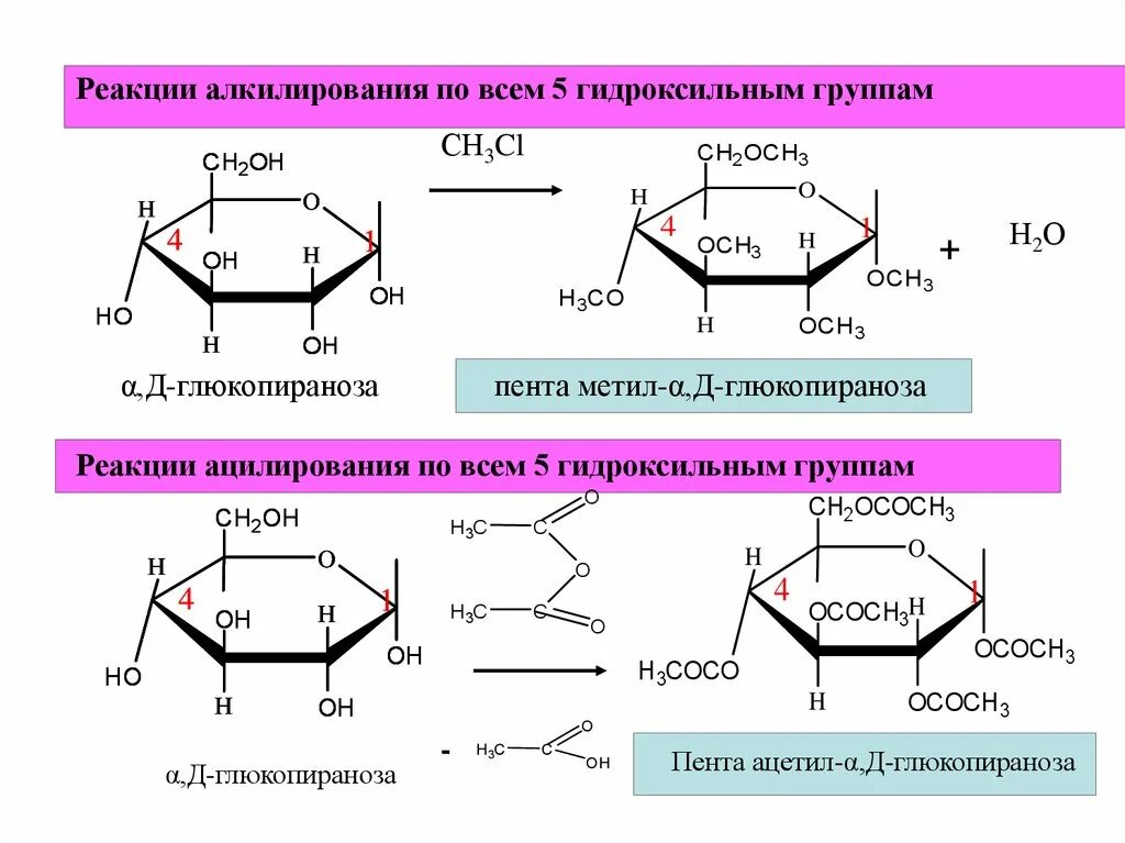 Метил Альфа д глюкопираноза. Пента-о-ацетил-b-d-галактопиранозы. 2,3,4,6- Тетра-о-метил- d-глюкопираноза.. Реакция ацилирования д рибозы. Реакция d n