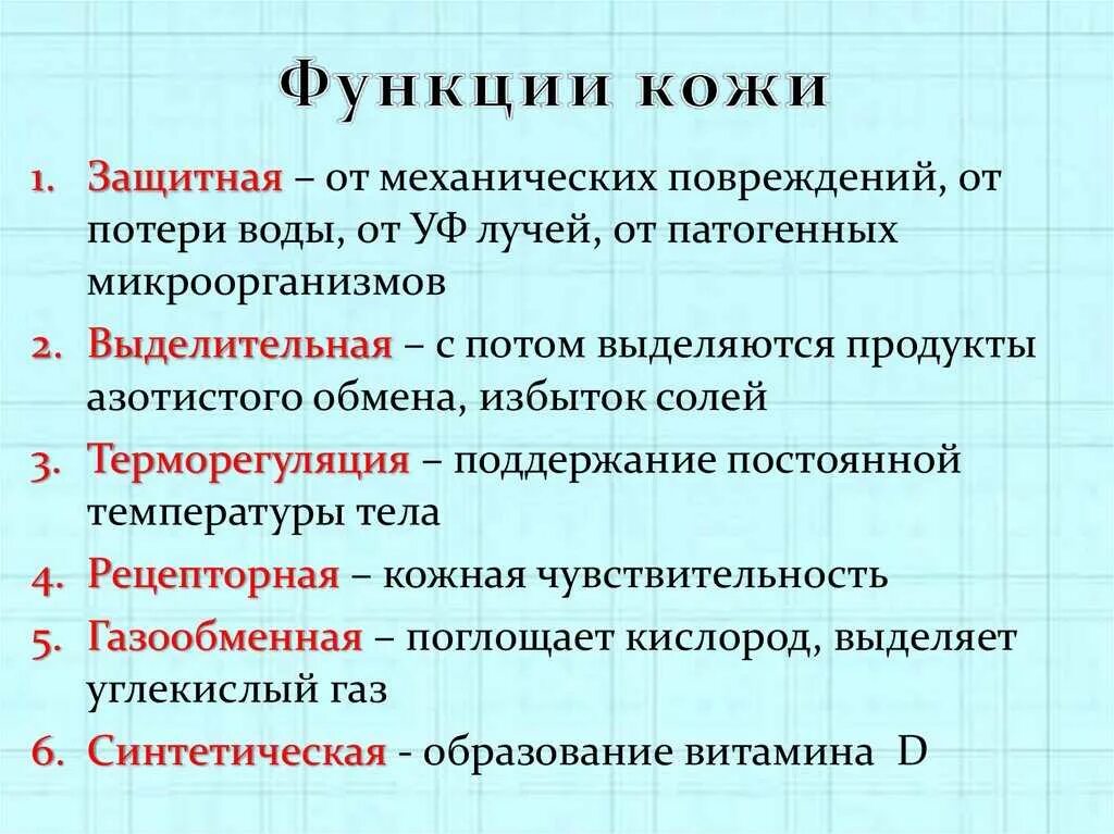 Какие функции выполняет кожа человека обж. Пример защитной функции кожи. Перечислите и охарактеризуйте функции кожи. Определите функции кожи:. 2.Перечислите функции кожи..