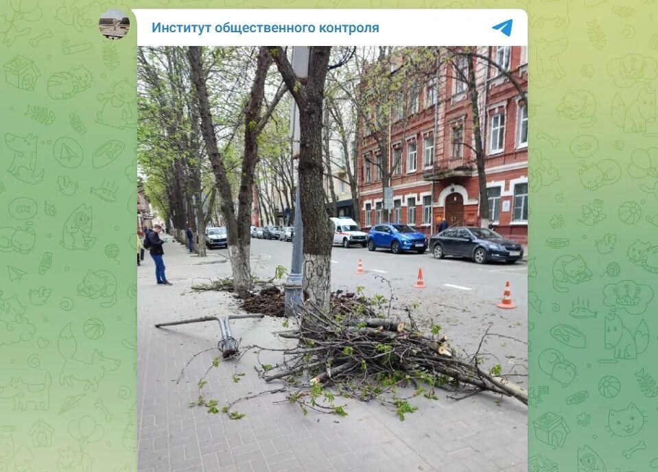Улица Комиссаржевской, 17 на карте Воронежа - Яндекс Карты