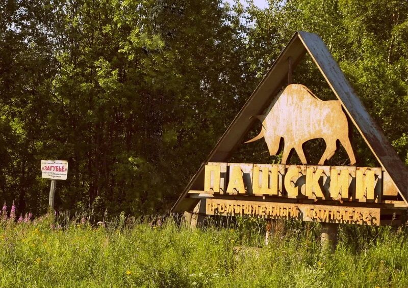 Совхоз Пашский Волховский район. Пашский район. Пашский промышленный комплекс. Промышленный комплекс Пашский Потанино.