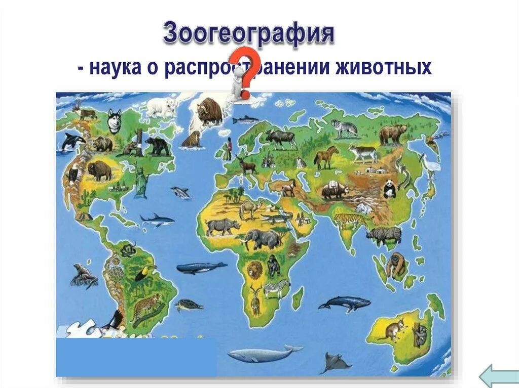 География животных. Места обитания животных. Карта животных. Животные разных континентов.
