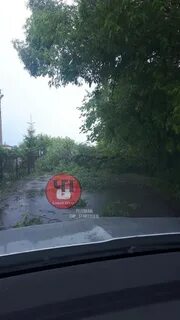 Чп старый оскол телеграмм