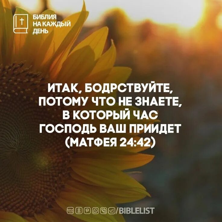 Христианские пожелания с днем рождения. Открытки из библии с благословениями. День благословения. Благословения из библии. Стих да благословит тебя господь.