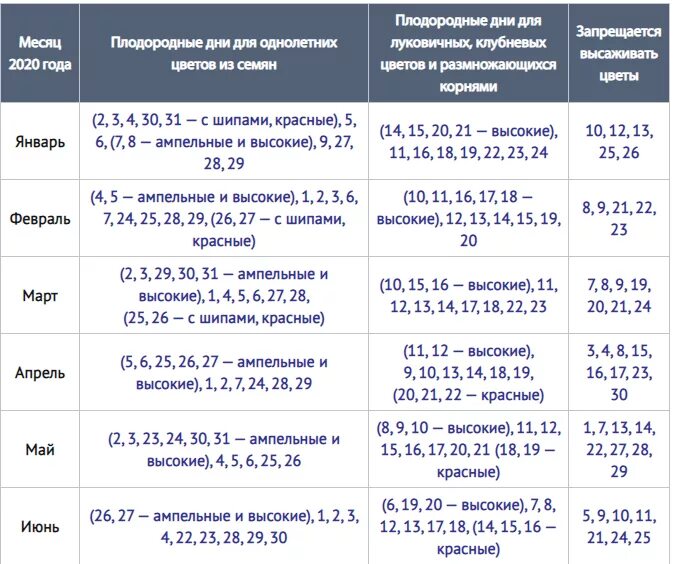 Лунный календарь пересадка комнатных растений 2020. Лунный календарь домашних цветов. Благоприятные дни для пересадки комнатных растений. Благоприятные дни для пересадки домашних цветов. Лунный календарь на апрель комнатные растения