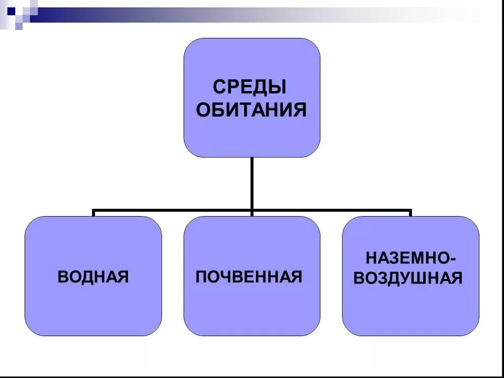 Среда обитания. Проект среды обитания. Презентация условия среды. Среды жизни организмов.