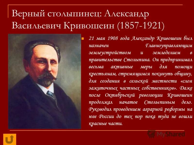 П к ление. Кривошеин. Помощник Столыпина Кривошеин. Кривошеин министр. Кривошеин сподвижник Столыпина.