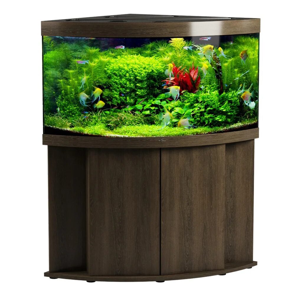 Аквариум панорамный 35 литров. Аквариум 80 на 80. Аквариум ferplast capri 50 чёрный, 40л. Недорогие аквариумы москвы. Аквариум с тумбой biodesign атолл 1000 венге.