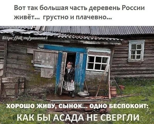 Лишь бы Асада не свергли. Хорошо жить в России. Главное чтобы Асада не свергли. Демотиватор лишь бы Асада не свергли.