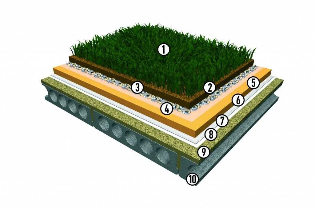 Эксплуатируемая зеленая кровля пирог. Экстенсивная зеленая кровля пирог. Газон на кровле пирог. Технология зеленой кровли.