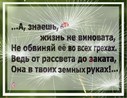 Ты должен знать жизнь