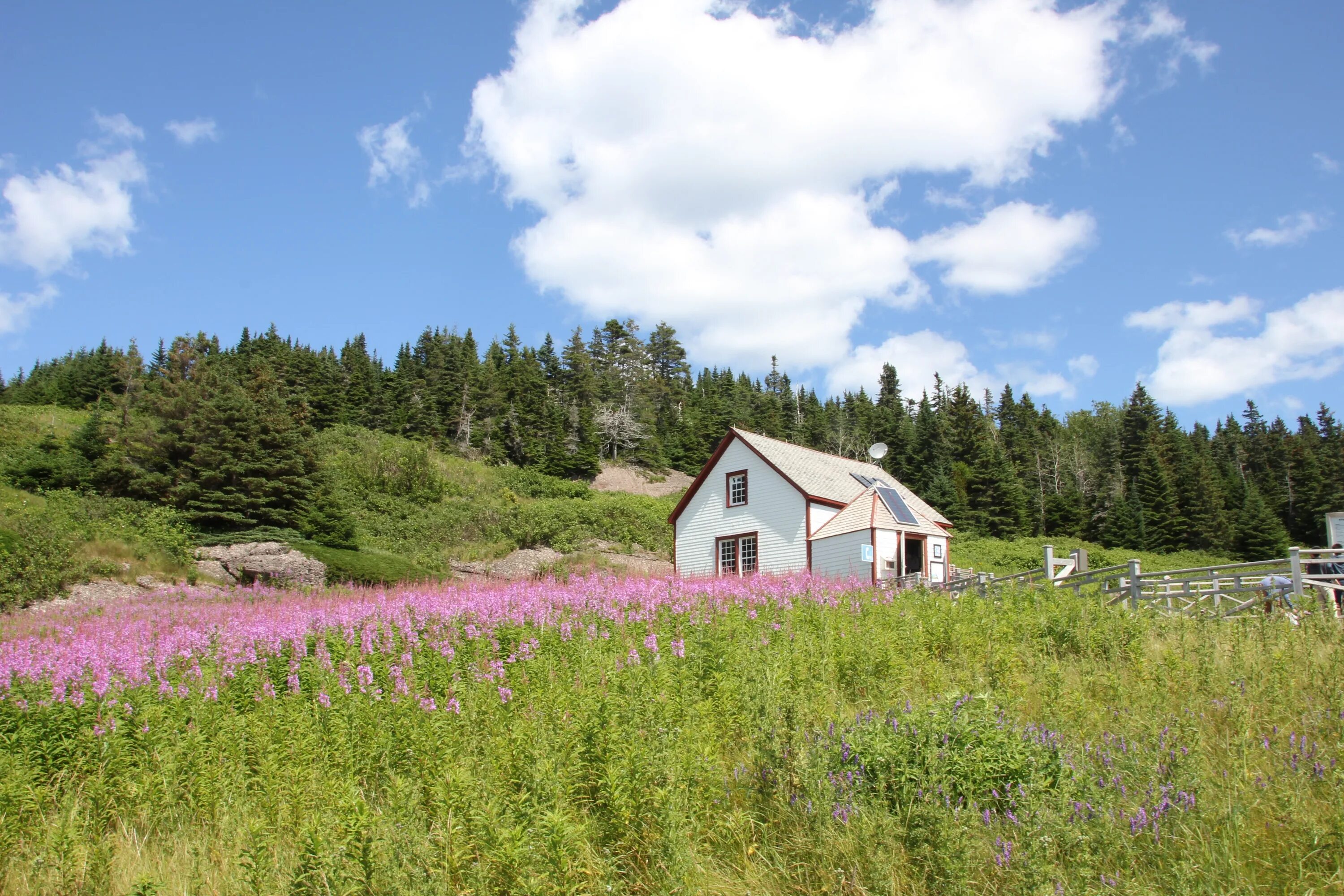 Луга в 4 доме. Ферма в горах. Mountain Farm. Ферма, Луговая, 4. Американский пастбищный домик.